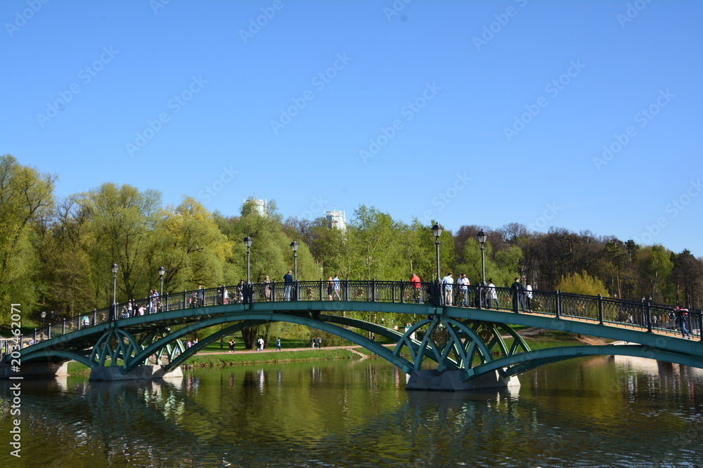 Obraz premium Park alley walkway pathway trees spruce birch sky grove forest blue green grass flora nature landscape stones arch building greenery oxygen lantern bridge lake season sunset