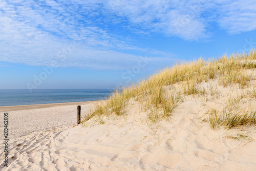 Grass dunes and white sand of beautiful beach. Baltic Sea. Poland
