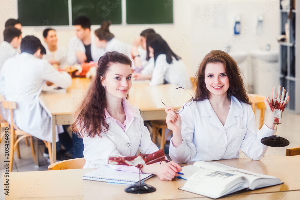 healthcare and health. A team of young doctors is studying anatomy in a medical school. The human skeleton is the study of the muscles of the arm. Discussion of the diagnosis