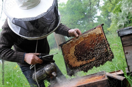 Apiculteur travaillant sur une ruche photo