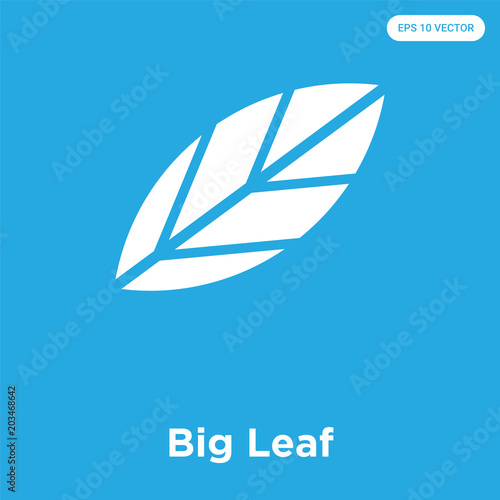 Big Leaf icon isolated on blue background