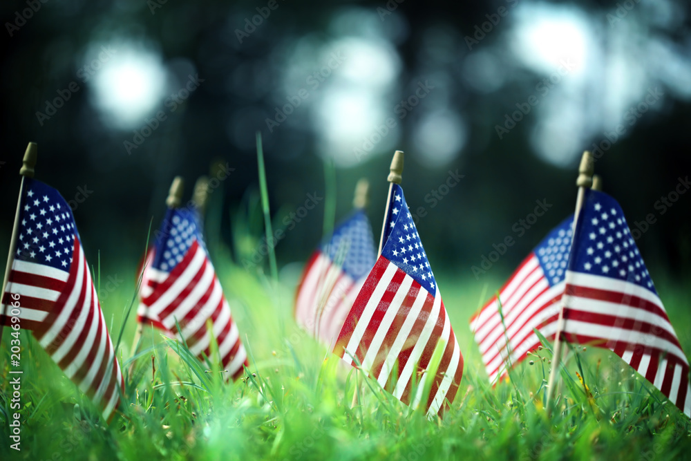 Group of American flags in green grass