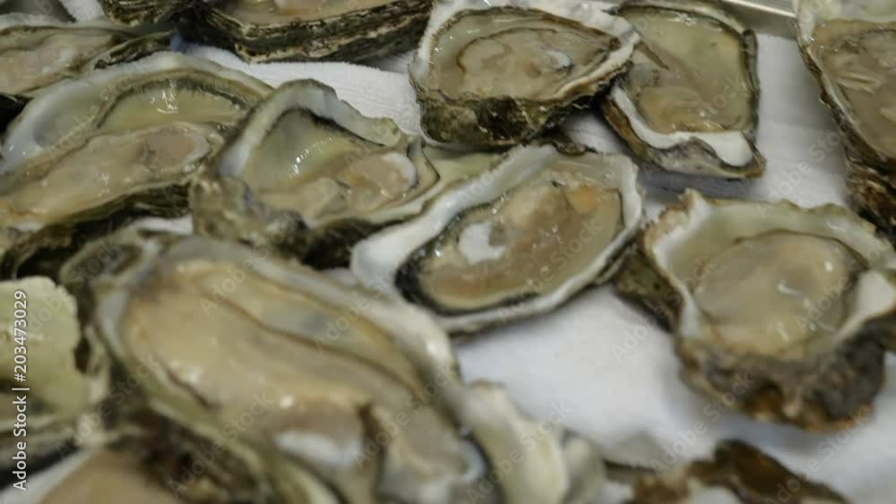 Fresh oysters are only caught lie folded in a row on a large tray, video is close-up, the camera travels along a tray with fresh oysters Fresh oysters are only caught lie folded in a row on a large tray, video is close-up, the camera travels along a tray with fresh oysters