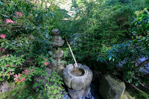 Beautiful Japanese Garden in Portland at spring season