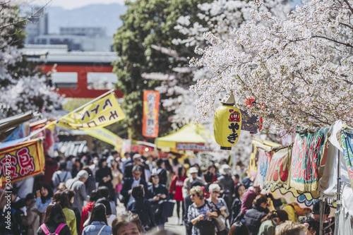 京都観光を楽しむ人々 © beeboys