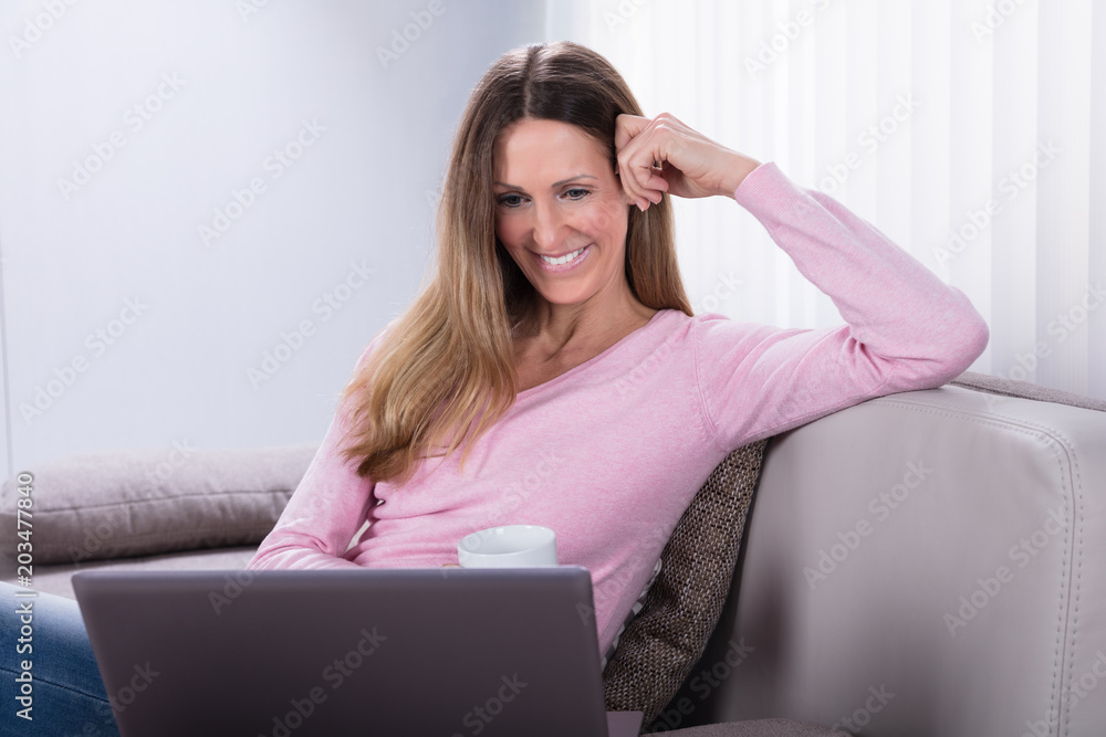 Fototapeta premium Smiling Woman Looking At Laptop