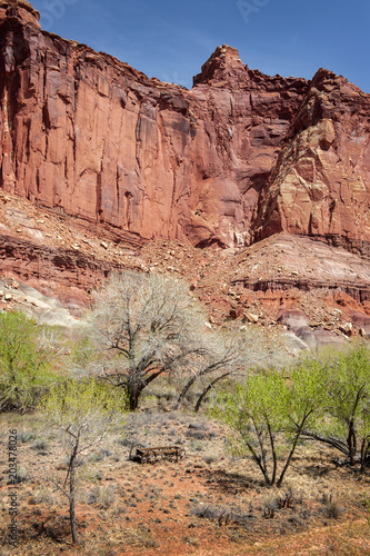 Capitol Reef National Park. Located in south-central Utah in the heart of red rock country, this is a hidden treasure filled with cliffs, canyons, domes and bridges in the Waterpocket Fold.