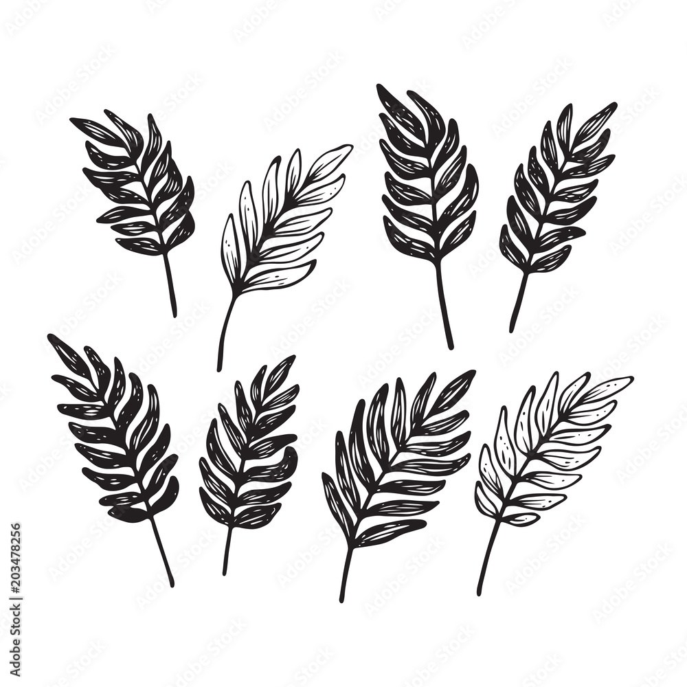 Fototapeta premium Hand sketched leaf set. Vector botanical elements isolated on white