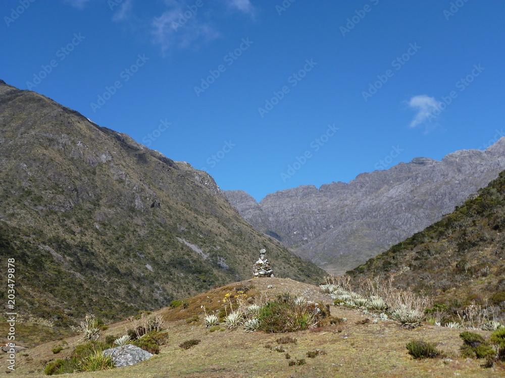 Fototapeta premium paisa2