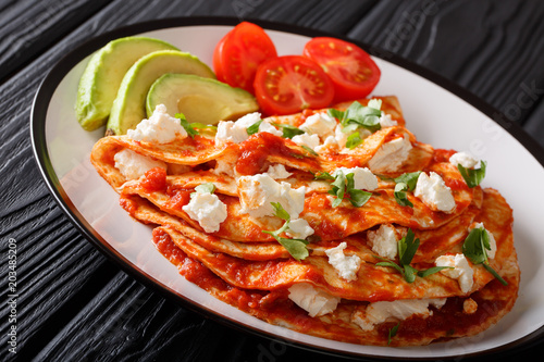 Mexican freshly prepared entomatadas with farm cheese, tomato sauce, greens and avokdo closeup. horizontal