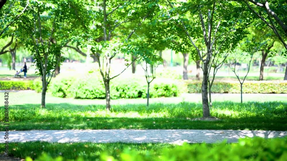 young pretty cheerful and happy girl walking jumping about in the park in spring young pretty cheerful and happy girl walking jumping about in the park in spring
