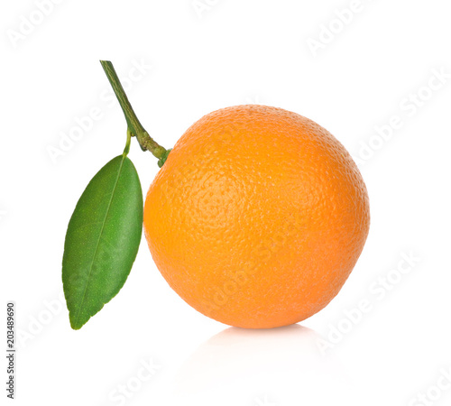 Orange on white background