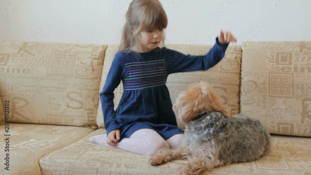Little girl stroking dog on couch Little girl stroking dog on couch
