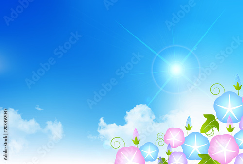 あさがお　夏　風景　背景 