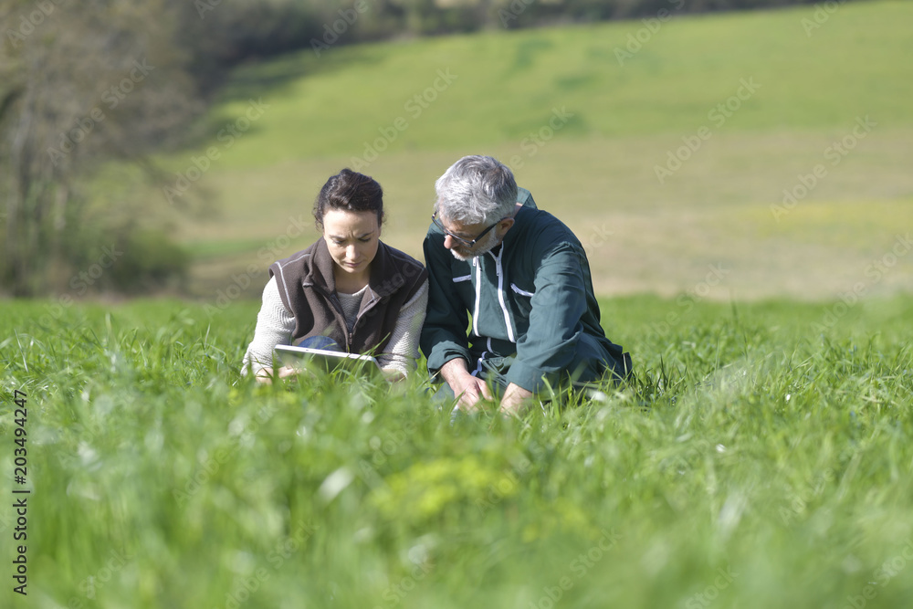 Couple of farmers in field using digital tablet Couple of farmers in field using digital tablet