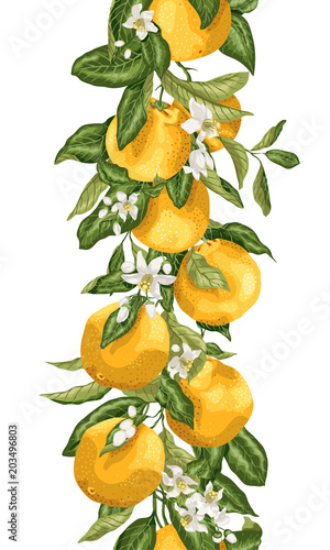 Vertical seamless pattern line with orange tree branches, fruits, flowers and leaves in vector graphic