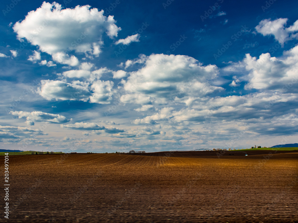 Fototapeta premium montana cloud scape