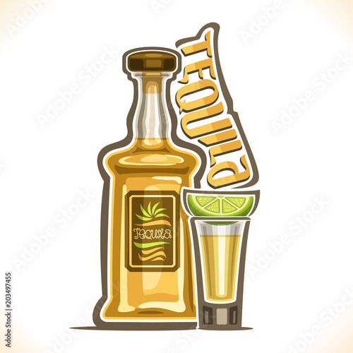Vector illustration of alcohol drink Tequila, yellow bottle of luxury mexican cactus booze, full shot glass with slice of citrus, original typeface for word tequila, outline composition for bar menu.