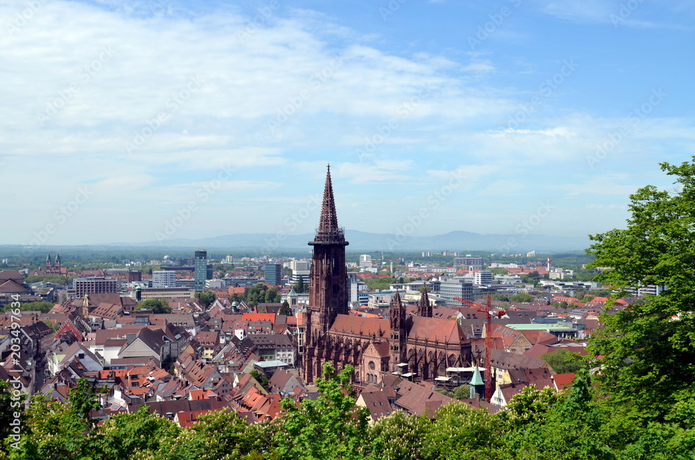 Blick auf das Freiburger Münster im Frühjahr