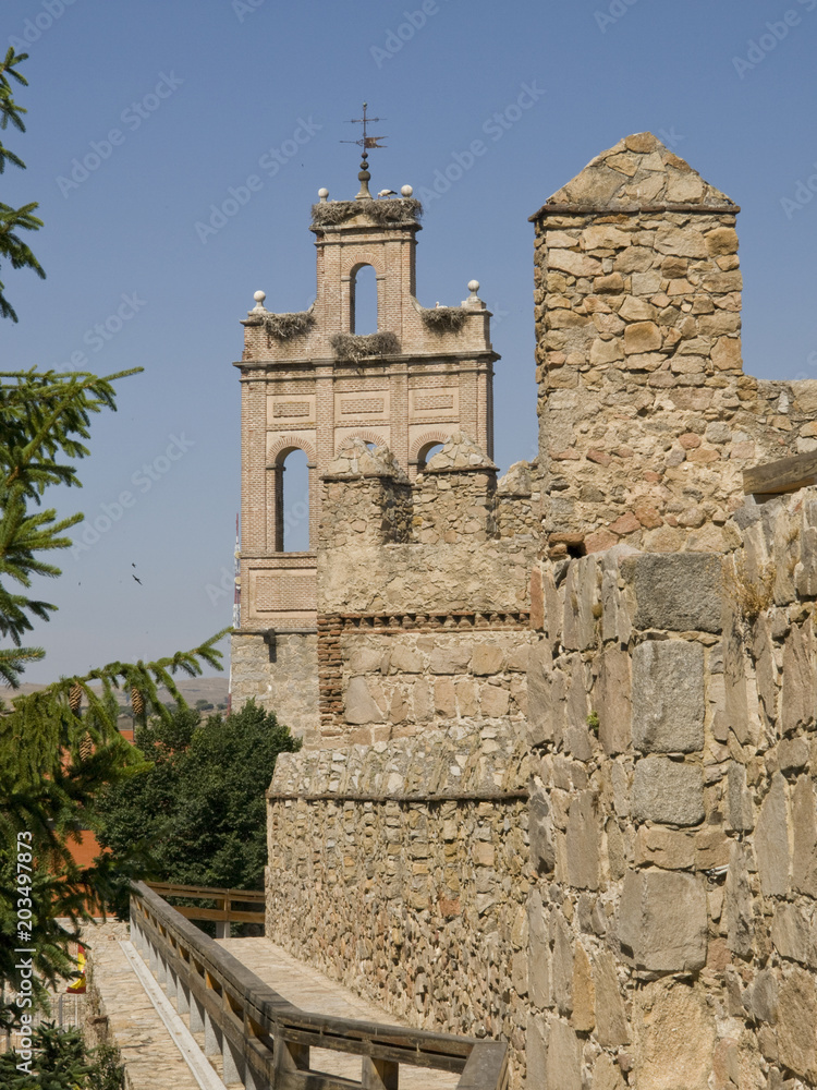 Detail of Muralla de Avila with many birds