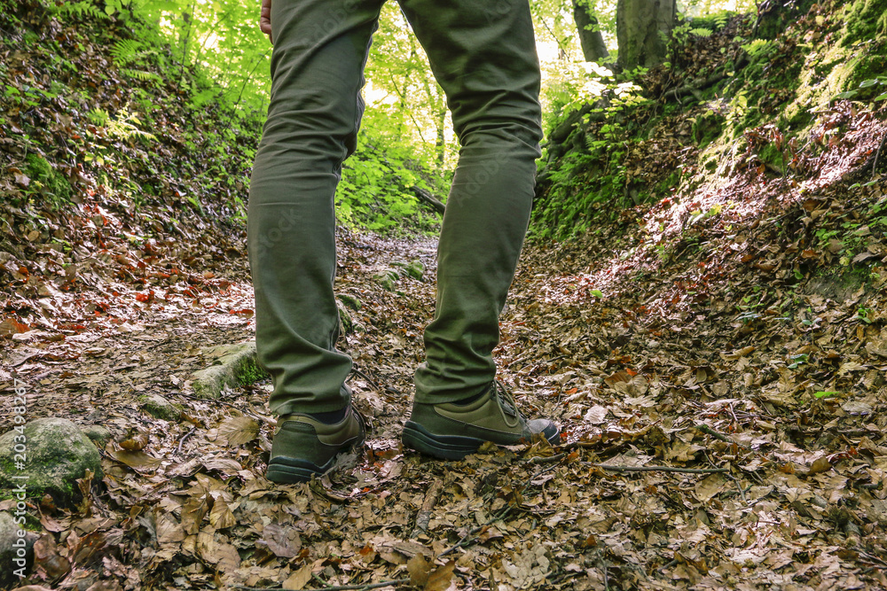 Traveler walking in the forest. Traveler walking in the forest.