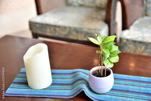 観葉植物とロウソク