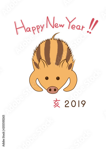うり坊のお正月2019