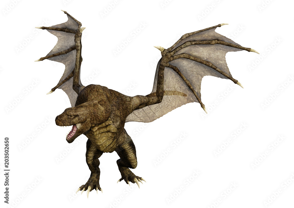 3D Rendering Fantasy Dragon on White 3D Rendering Fantasy Dragon on White