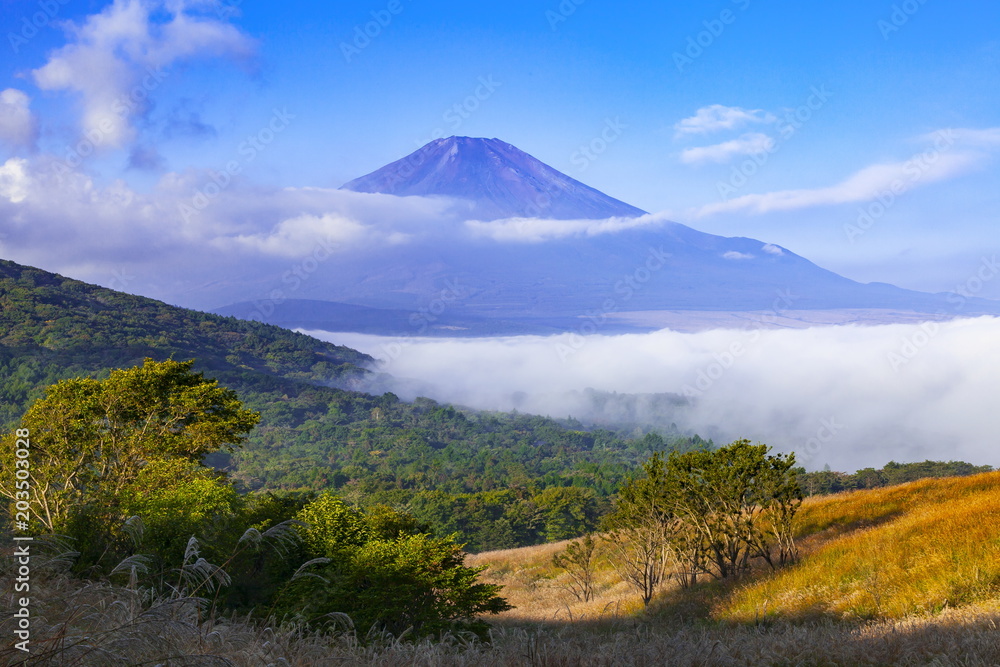 朝霧に覆われた山中湖と富士山、山梨県山中湖村パノラマ台にて