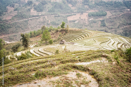 Sa Pa Vietnam Asien 2018 photo