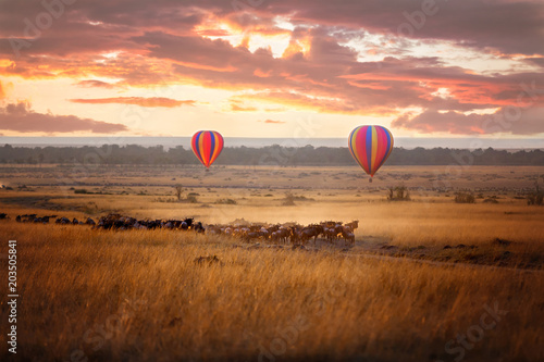 Masai Mara sunrise with wildebeest and balloons