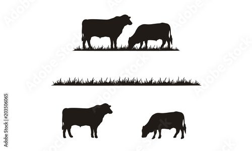 Obraz na płótnie Cattle Angus Cow & Grass silhouette livestock farm logo design