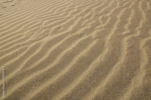 White sand lines on a beach under the strong wind.