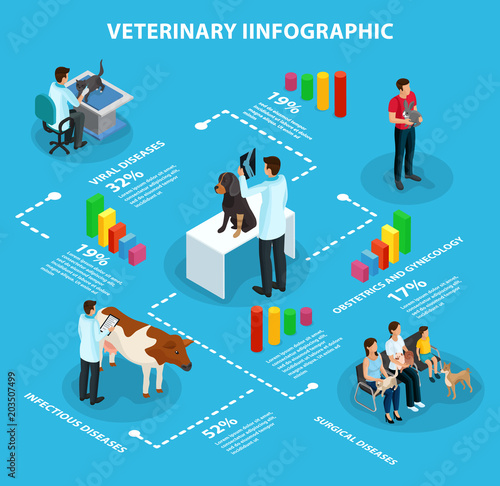Isometric Veterinary Infographic Concept
