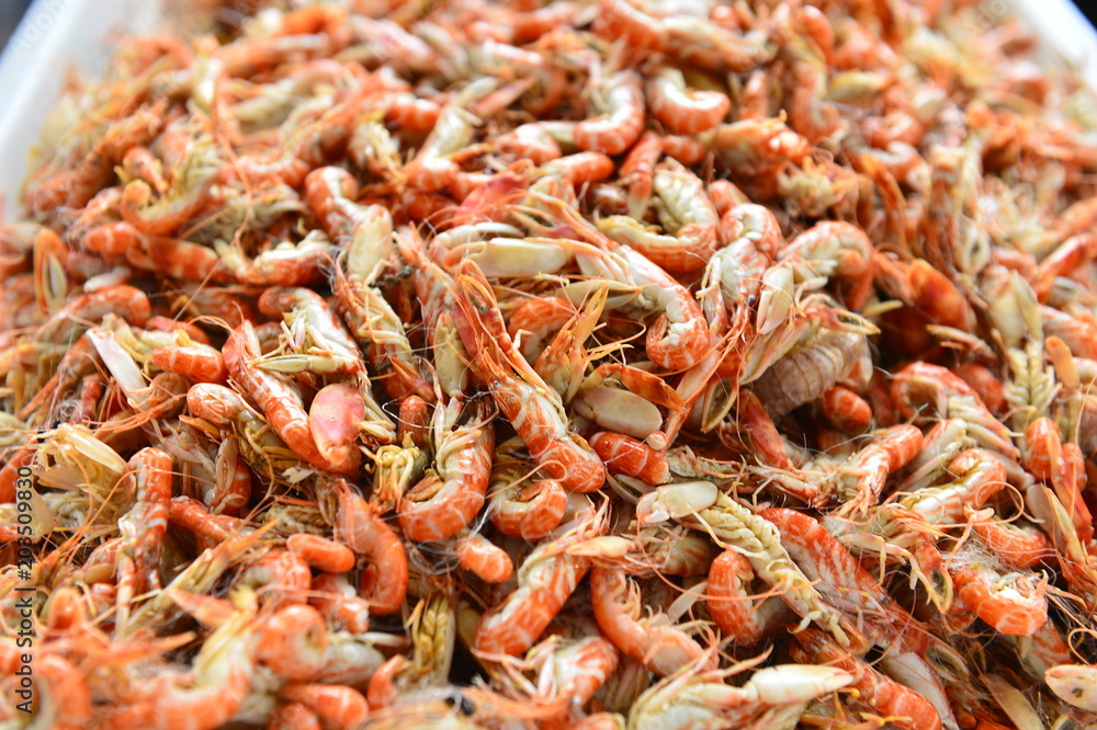 The shrimp products The shrimp products