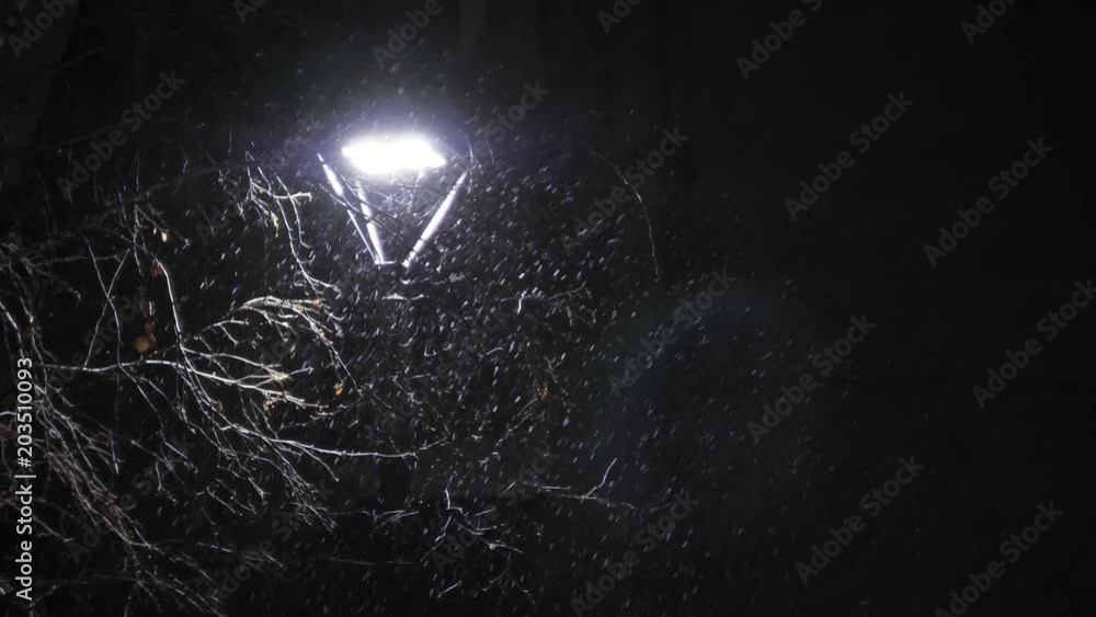 Snowing against the street lamp. Snow in slow motion in 60fps. Snowflakes beautifully fall. Snowing against the street lamp. Snow in slow motion in 60fps. Snowflakes beautifully fall.