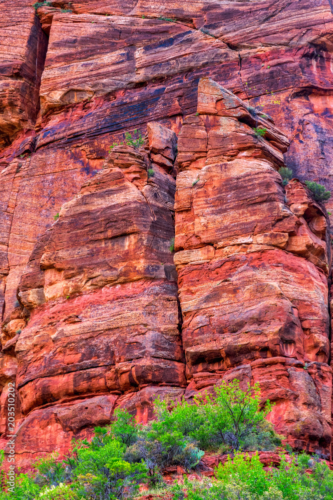 Fotografie Zion National park