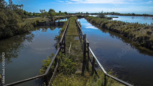 Wallpaper Mural Natura Torontodigital.ca