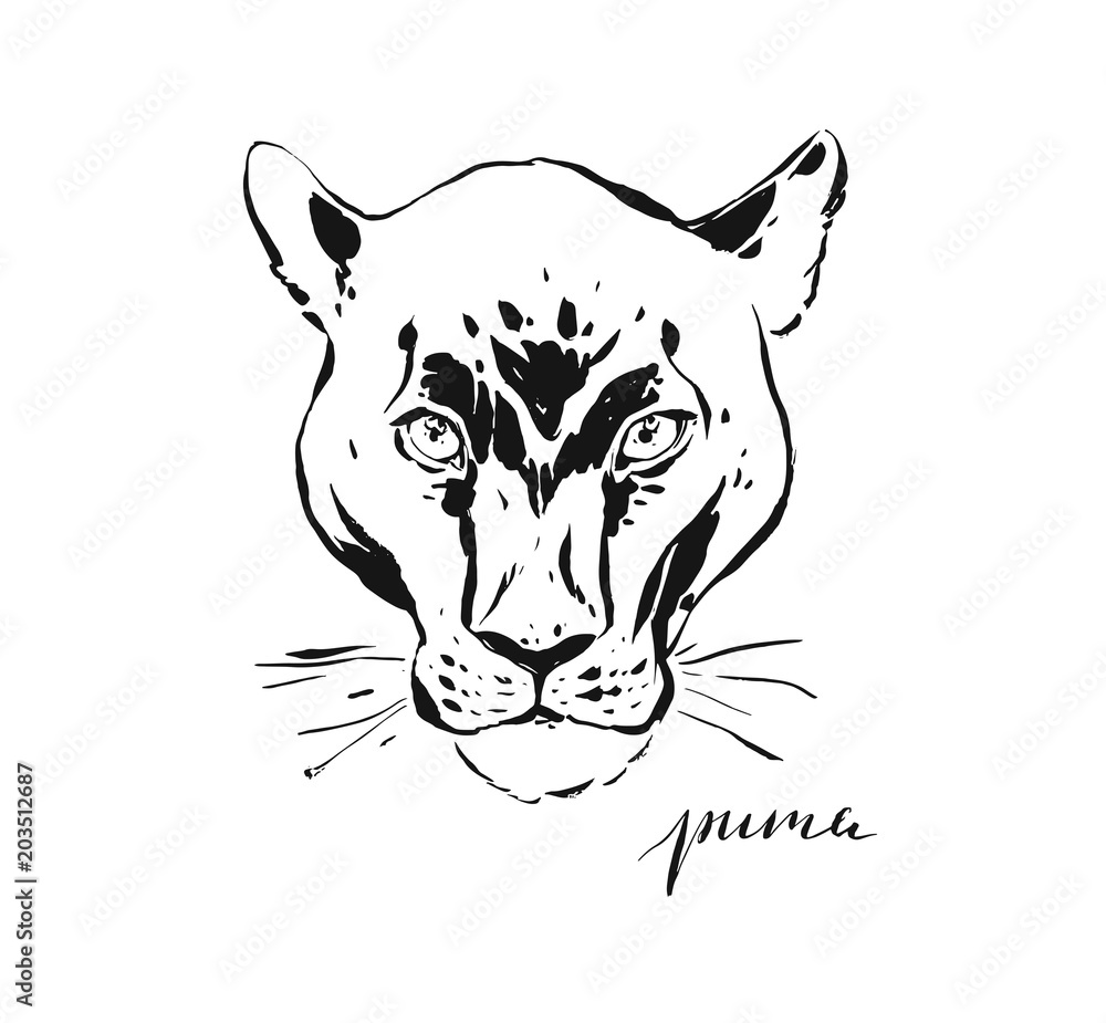 Hand drawn vector abstract artistic ink textured graphic sketch drawing  illustration of wildlife puma head isolated on white background Stock  Vector | Adobe Stock
