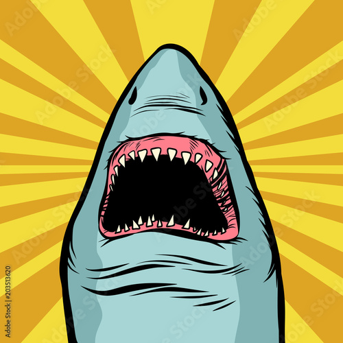 Shark ocean predator. Marine fish and water parks