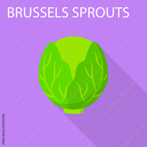 Brussels sprouts icon. Flat illustration of brussels sprouts vector icon for web design