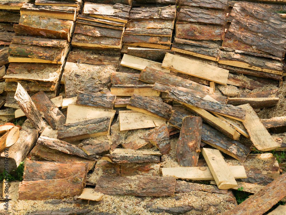 Texture of the bark of the old tree. Texture of the bark of the old tree.