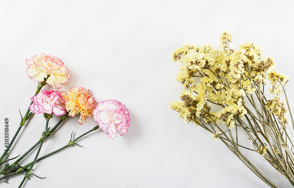 Close up of pink and yellow flowers on white background. Isolated. Copyspace
