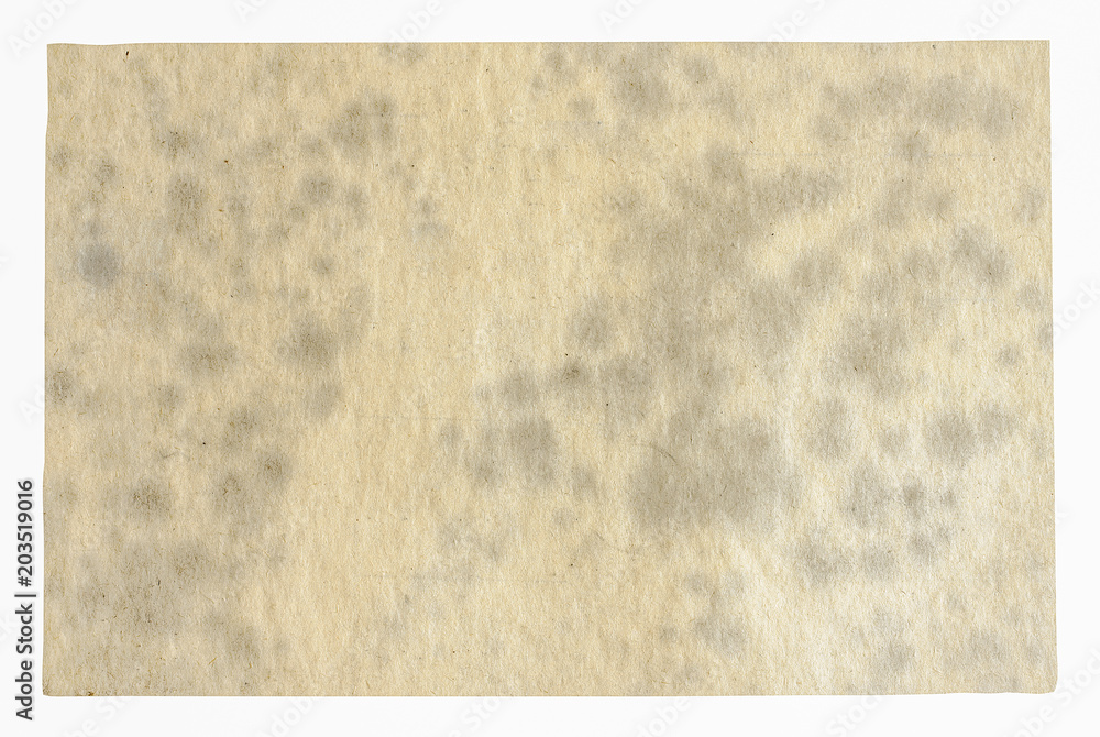 Fototapeta premium old paper