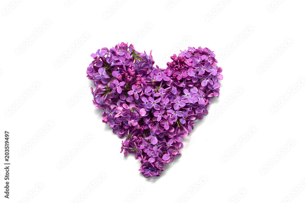 Lilac and Love