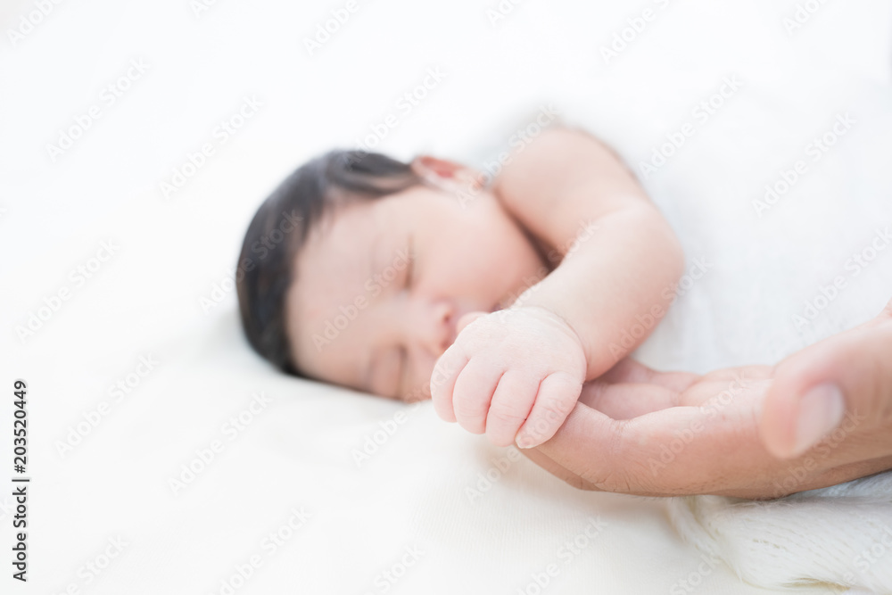 hand of a newborn baby in the hand of a parent dad hand of a newborn baby in the hand of a parent dad