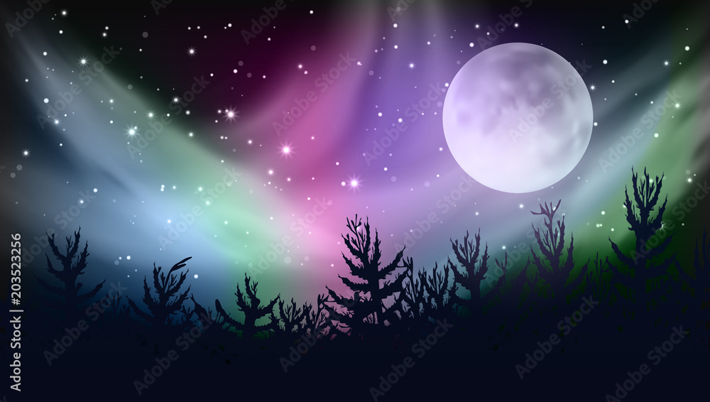 Abstract Forest Multicolored Northern Lights Aurora Borealis Sky