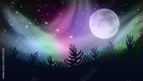 Abstract Forest Multicolored Northern Lights Aurora Borealis Sky