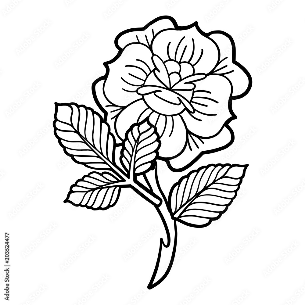 Graphic floral vignette Graphic floral vignette