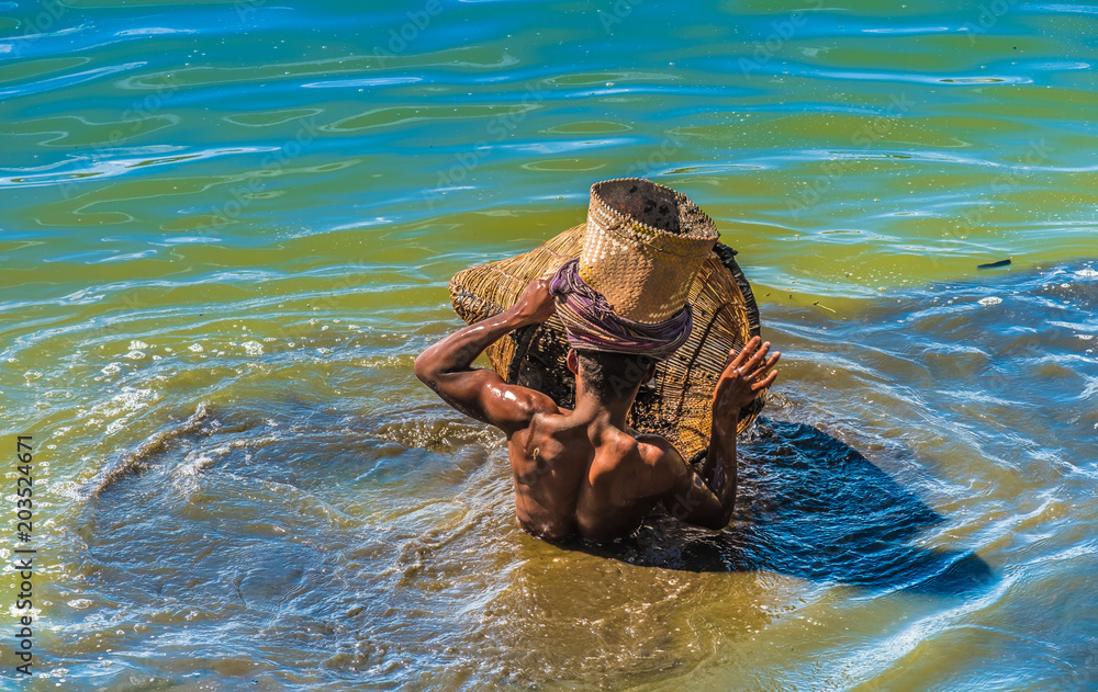 Fishermen catch wild Tilapia with wicker baskets in the rivers and ponds of Antsirabe, Central Madagascar
